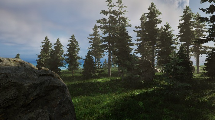 Profile banner